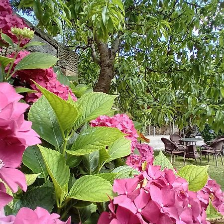 Picos De Europa Suites And Rooms Turieno المظهر الخارجي الصورة