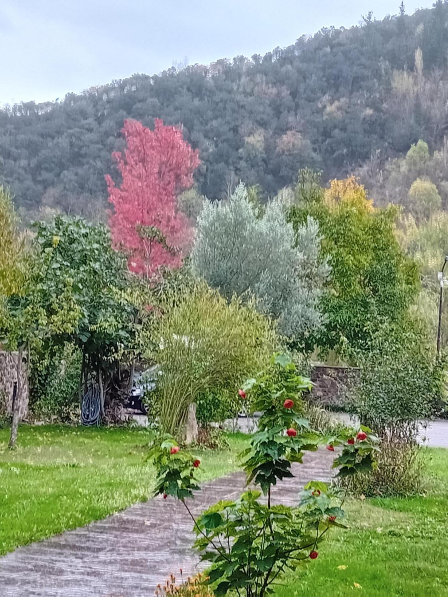 Picos De Europa Suites And Rooms Turieno المظهر الخارجي الصورة