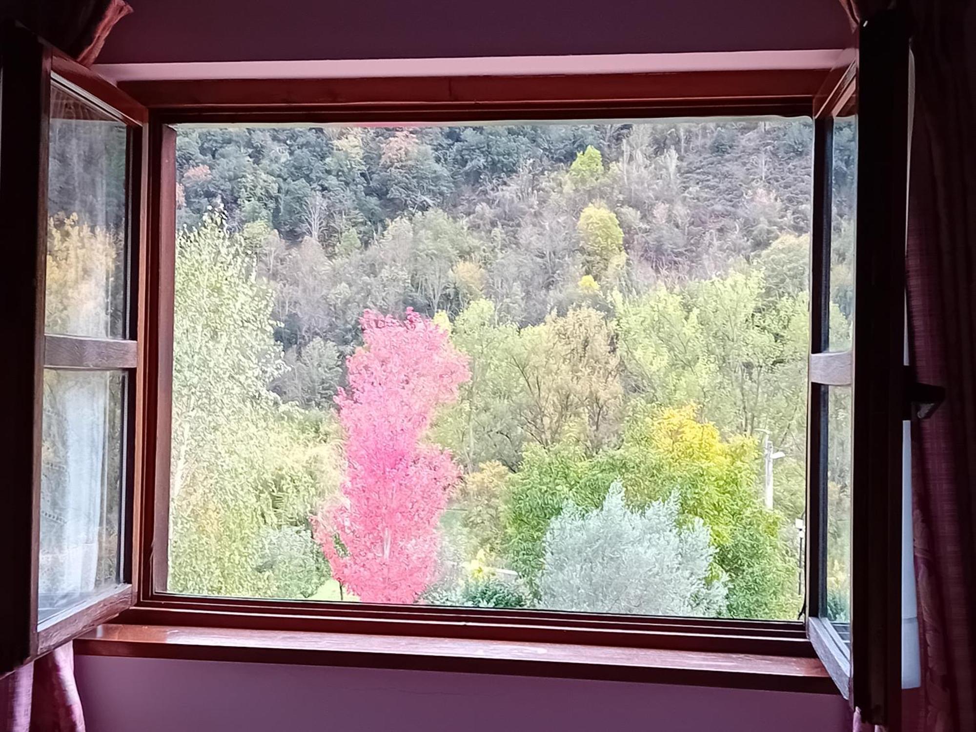 Picos De Europa Suites And Rooms Turieno المظهر الخارجي الصورة