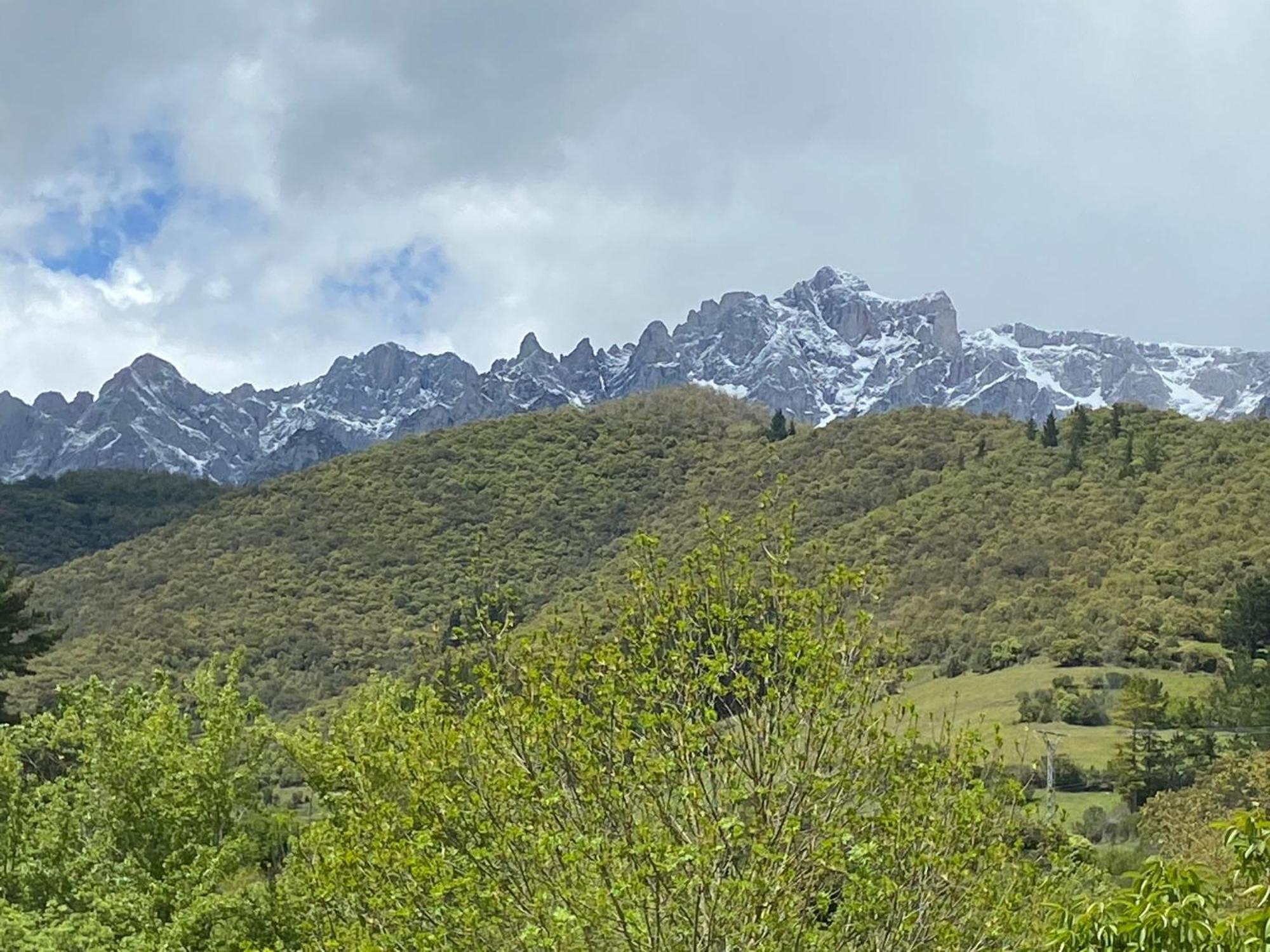 Picos De Europa Suites And Rooms Turieno المظهر الخارجي الصورة