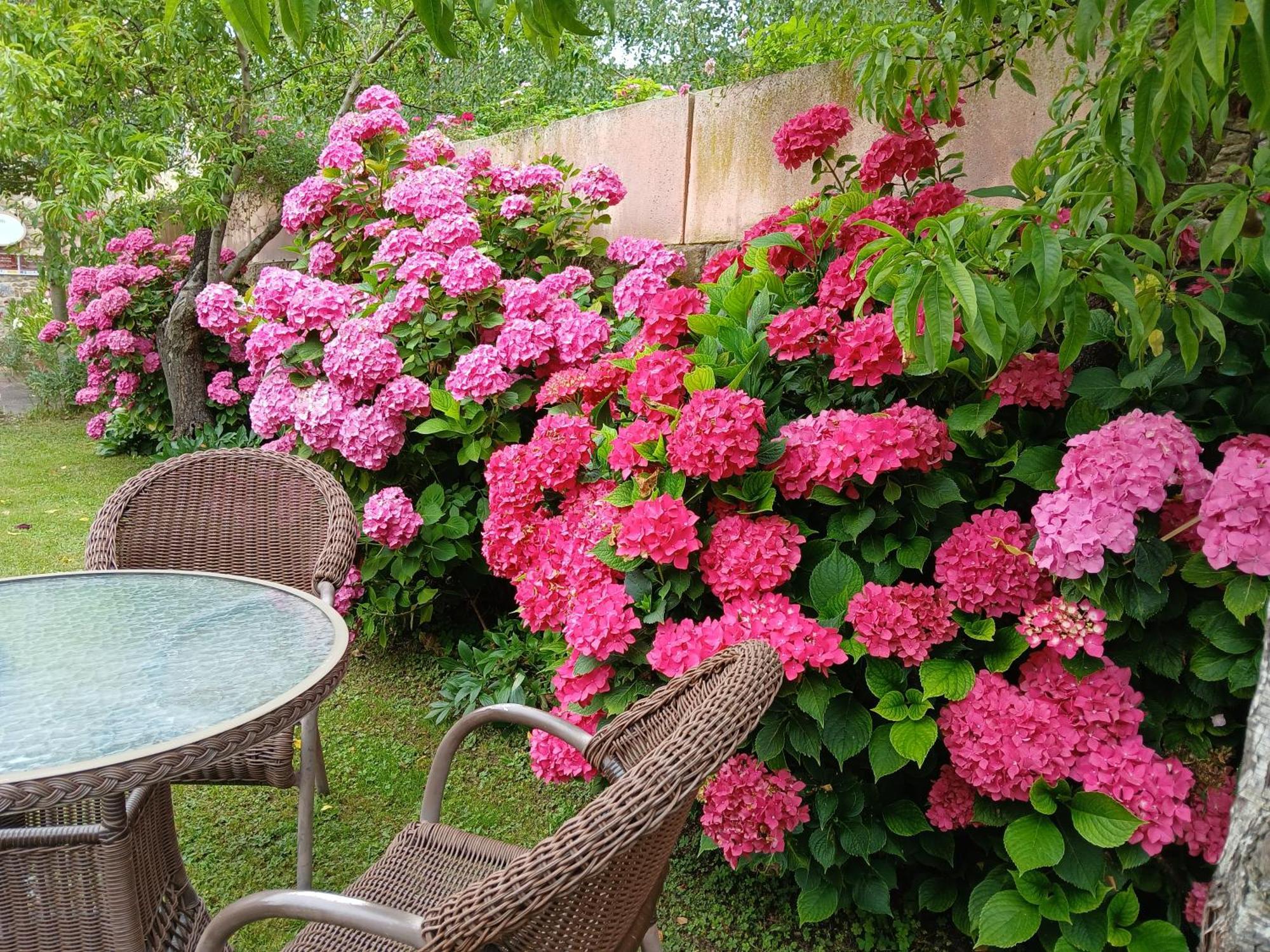 Picos De Europa Suites And Rooms Turieno المظهر الخارجي الصورة