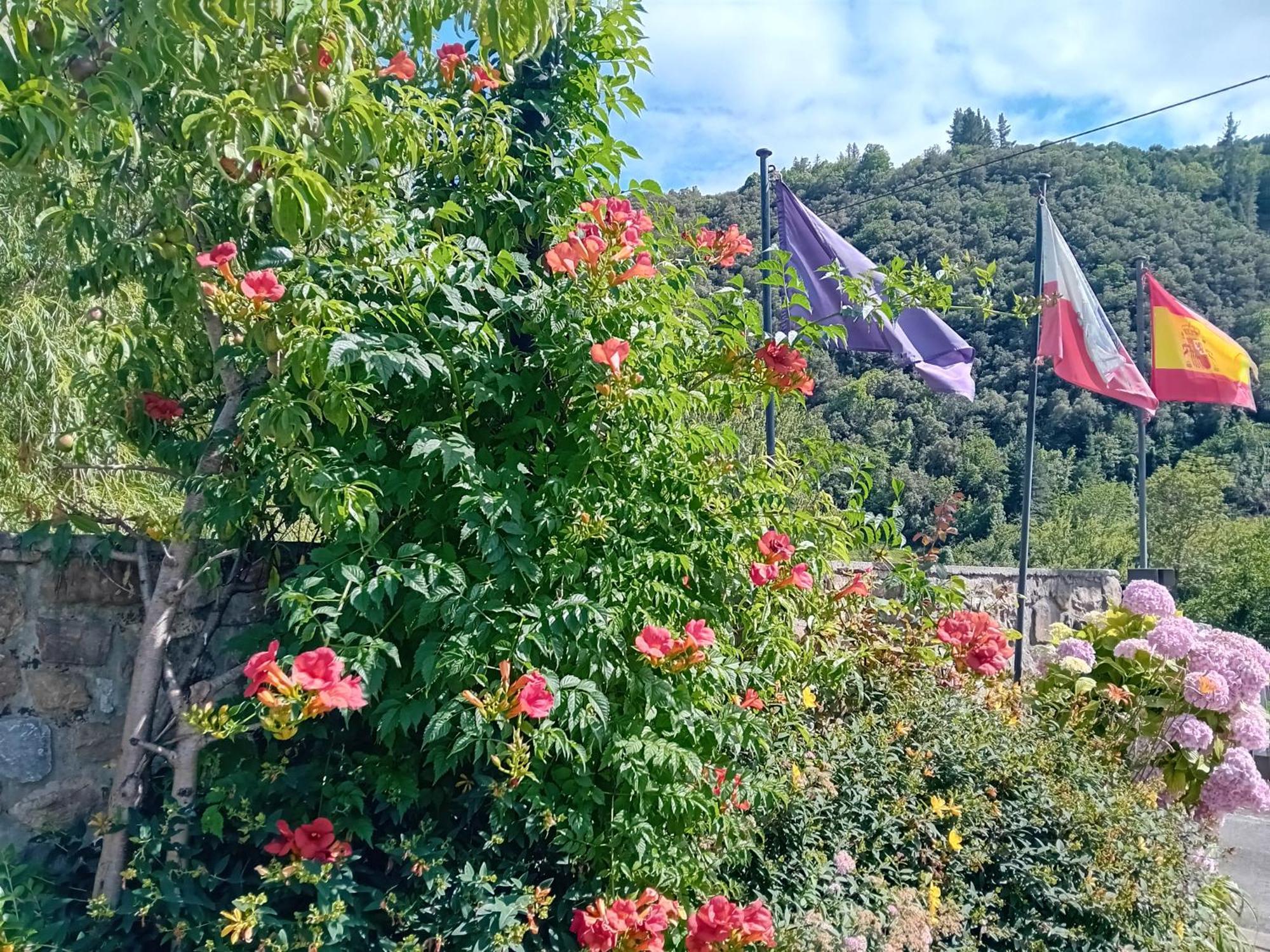 Picos De Europa Suites And Rooms Turieno المظهر الخارجي الصورة