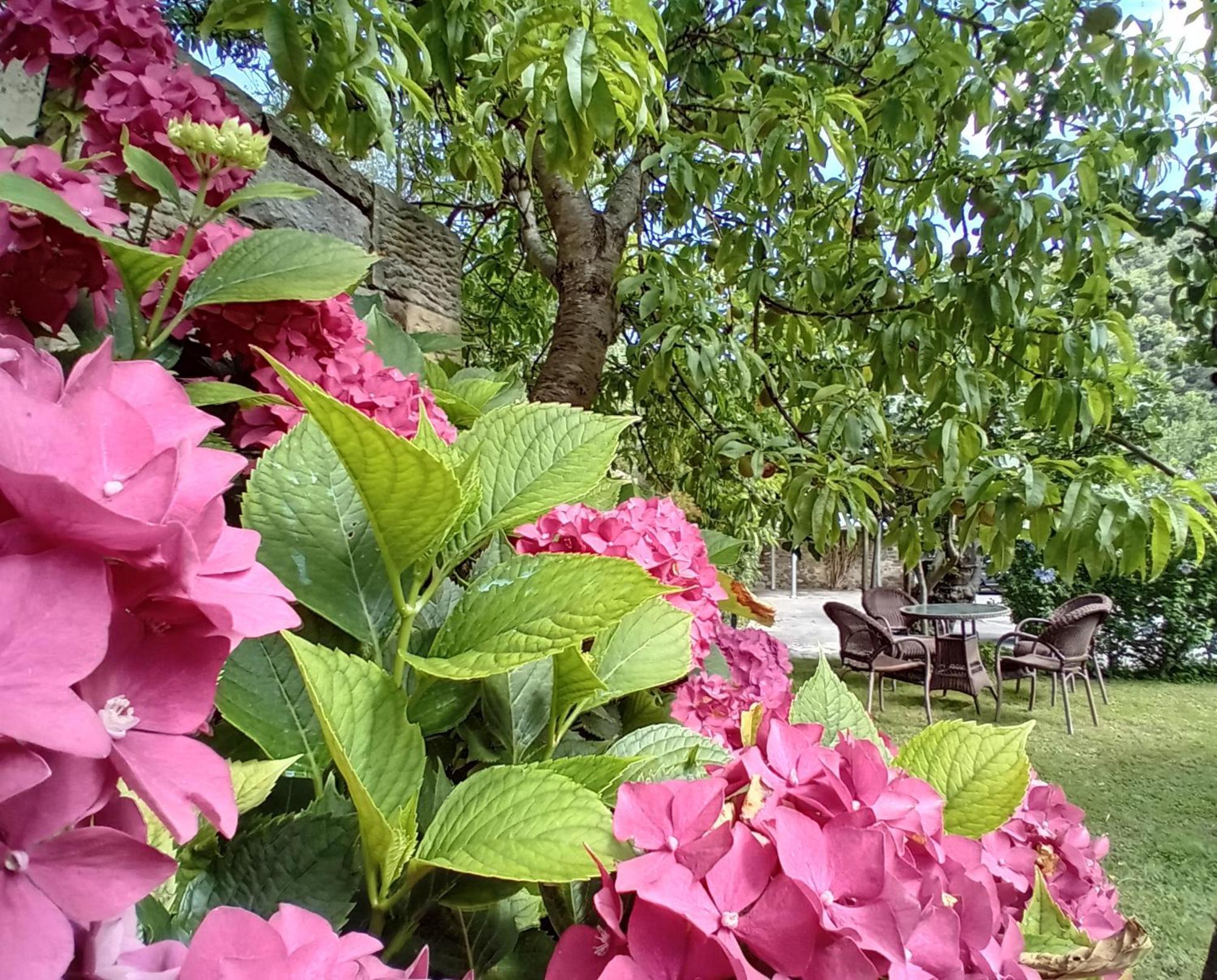 Picos De Europa Suites And Rooms Turieno المظهر الخارجي الصورة